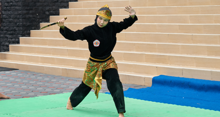 Pencak Silat